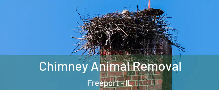  Chimney Animal Removal Freeport - IL