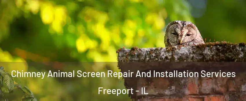  Chimney Animal Screen Repair And Installation Services Freeport - IL