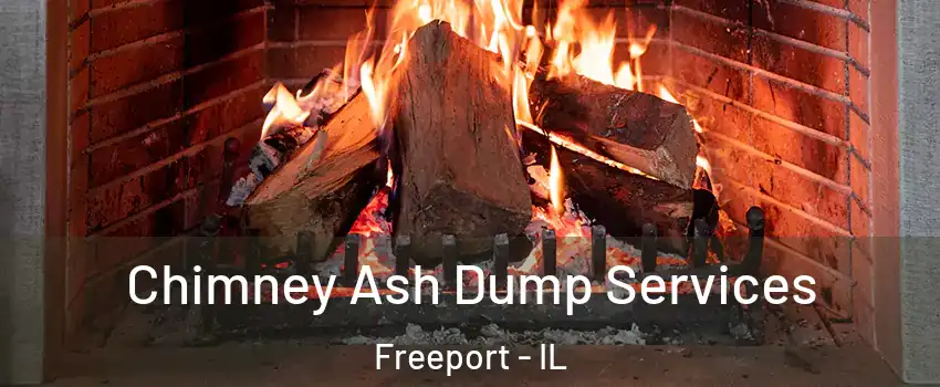  Chimney Ash Dump Services Freeport - IL
