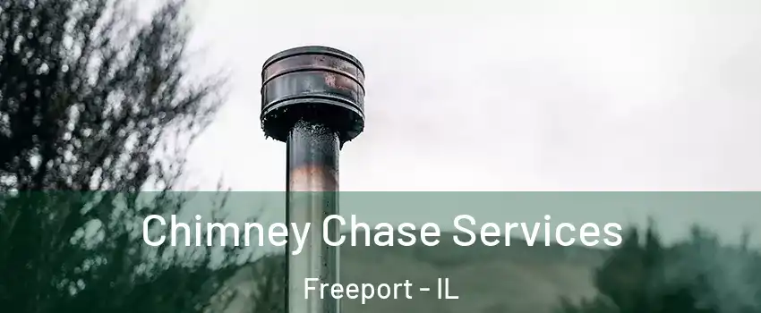 Chimney Chase Services Freeport - IL