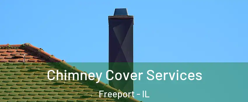  Chimney Cover Services Freeport - IL