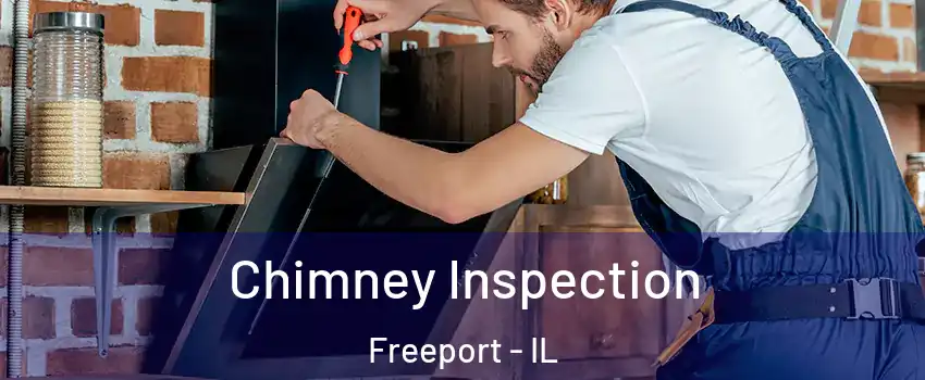  Chimney Inspection Freeport - IL