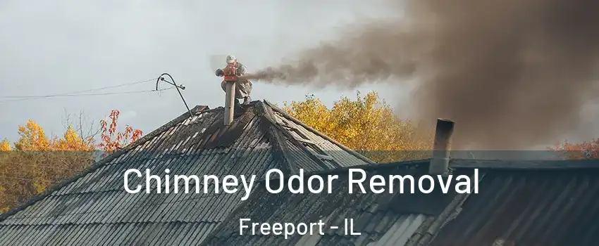  Chimney Odor Removal Freeport - IL
