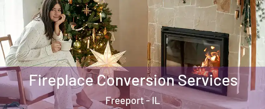  Fireplace Conversion Services Freeport - IL