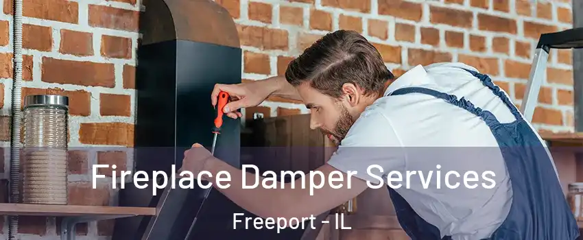  Fireplace Damper Services Freeport - IL