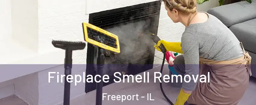  Fireplace Smell Removal Freeport - IL
