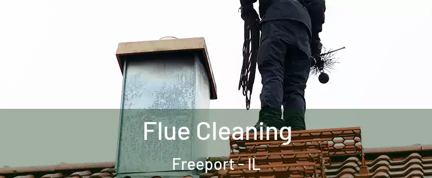  Flue Cleaning Freeport - IL