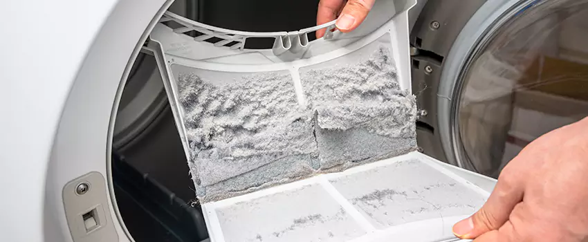 Best Dryer Lint Removal Company in Freeport, Illinois