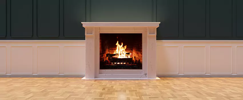 Napoleon Electric Fireplaces Inspection Service in Freeport, Illinois