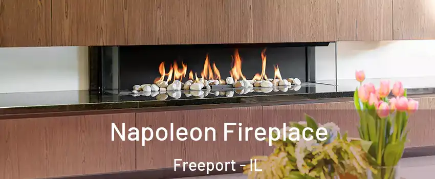  Napoleon Fireplace Freeport - IL