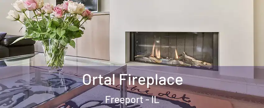 Ortal Fireplace Freeport - IL