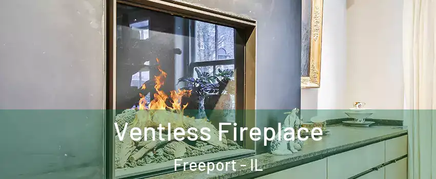  Ventless Fireplace Freeport - IL